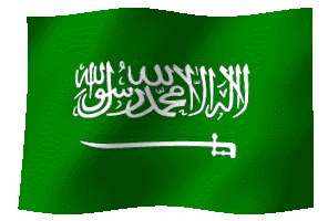 saudiflag